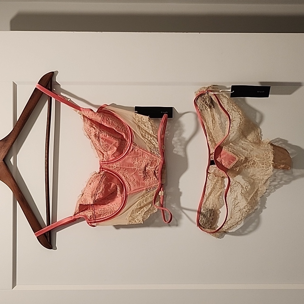 Blush Bra and Thong